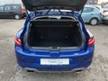 Daumennagel 20 - Renault Megane ENERGY TCe 205 EDC GT*NAVI*SHZ*TOP*