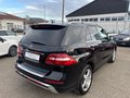 Daumennagel 4 - Mercedes-Benz ML 350 BlueTEC 4MATIC*NAVI*LEDER*SDHZ*SHZ*AHK*
