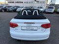 Daumennagel 4 - Audi A3 1.8 TFSI Cabriolet*KLIMA*SHZ*LEDER*ALU*TOP*