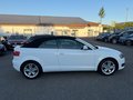 Daumennagel 8 - Audi A3 1.8 TFSI Cabriolet*KLIMA*SHZ*LEDER*ALU*TOP*