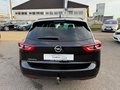 Daumennagel 4 - Opel Insignia 2.0 B Sports Tourer *NAVI*SHZ*PDC*AHK*