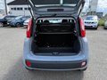 Daumennagel 20 - Fiat New Panda 1.2 8V EASY*KLIMA*EURO 6*1-HAND*PDC*