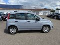 Daumennagel 7 - Fiat New Panda 1.2 8V EASY*KLIMA*EURO 6*1-HAND*PDC*