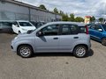 Daumennagel 8 - Fiat New Panda 1.2 8V EASY*KLIMA*EURO 6*1-HAND*PDC*