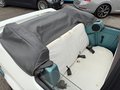 Daumennagel 18 - Ford Escort 1.6 Cabrio*