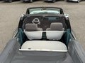 Daumennagel 20 - Ford Escort 1.6 Cabrio*