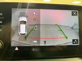 Daumennagel 12 - Skoda Kamiq KAMIQ TSI CARPLAY-NAVI 360KAMERA AHK