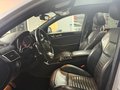 Daumennagel 11 - Mercedes-Benz GLE 450 / GLE 43 AMG 4Matic AHK 360KAMERA PANO