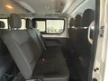 Daumennagel 11 - Renault Trafic Combi L2H1 2,9t Authentique KAMERA AHK