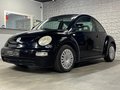 Daumennagel 3 - Volkswagen New Beetle 2.0
