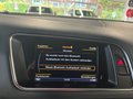 Daumennagel 17 - Audi SQ5 3.0 TDI competition quattro NAVI AHK KAMERA