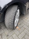Daumennagel 19 - Volkswagen Polo 1.2 9N3 Black Edition+ SHZ+ KLIMATRONIC+ TÜV NEU+ TEMPO  Edition
