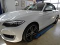 Daumennagel 29 - BMW 220 i Sportsitze, 18Zoll, incl.1J.GARANTIE