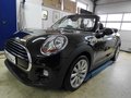 Daumennagel 1 - MINI Cooper Cabrio Leder dark truffle, KAMERA, incl. 1J.GARANTIE