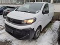 Daumennagel 1 - Opel Vivaro Kasten Basis M