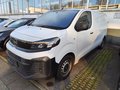Daumennagel 1 - Opel Vivaro Kasten Edition M