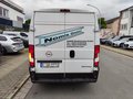 Daumennagel 4 - Opel Movano C Kasten HKa L2H2 3,5t im Kundenauftrag