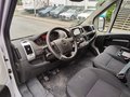 Daumennagel 7 - Opel Movano C Kasten HKa L2H2 3,5t im Kundenauftrag