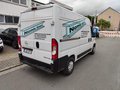 Daumennagel 3 - Opel Movano C Kasten HKa L2H2 3,5t im Kundenauftrag