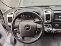 Daumennagel 8 - Opel Movano C Kasten HKa L2H2 3,5t im Kundenauftrag