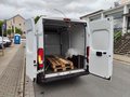 Daumennagel 6 - Opel Movano C Kasten HKa L2H2 3,5t im Kundenauftrag