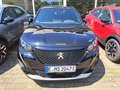 Daumennagel 2 - Peugeot 2008 Allure Pack Elektro 1. Hand