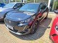Daumennagel 1 - Peugeot 2008 Allure Pack Elektro 1. Hand