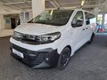 Daumennagel 1 - Opel Vivaro Kombi  XL
