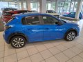 Daumennagel 3 - Peugeot 208e Active Pack, SHZ, PDC, Navi
