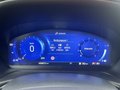 Daumennagel 19 - Ford Puma 1.5 EcoBoost ST X BLIS/RFK/LED/el.Heckklappe