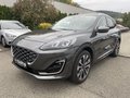Daumennagel 2 - Ford Kuga 2.5 Duratec Full-Hybrid CVT 4x4 Vignale