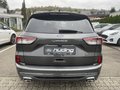 Daumennagel 6 - Ford Kuga 2.5 Duratec Full-Hybrid CVT 4x4 Vignale