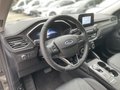 Daumennagel 11 - Ford Kuga 2.5 Duratec Full-Hybrid CVT 4x4 Vignale
