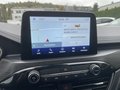 Daumennagel 18 - Ford Kuga 2.5 Duratec Full-Hybrid CVT 4x4 Vignale