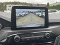 Daumennagel 19 - Ford Kuga 2.5 Duratec Full-Hybrid CVT 4x4 Vignale