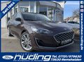 Daumennagel 1 - Ford Focus 1.5 EcoBoost Vignale AHK/ACC/BLIS/RFK/LED