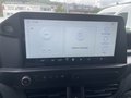Daumennagel 17 - Ford Transit Custom Kasten 300 L1 Trend FWD