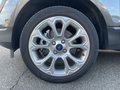 Daumennagel 10 - Ford EcoSport 1.0 EcoBoost Titanium