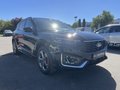 Daumennagel 4 - Ford Kuga 1.5 EcoBoost Aut. ST-Line X AHK/ACC/LED/Pano