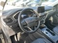 Daumennagel 11 - Ford Kuga 2.5 Duratec Full-Hybrid CVT 4x4 Vignale