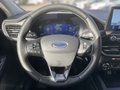 Daumennagel 15 - Ford Kuga 2.5 Duratec Full-Hybrid CVT 4x4 Vignale
