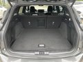 Daumennagel 7 - Ford Focus Turnier 1.0 EcoBoost Hybrid ST-Line