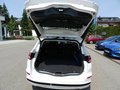 Daumennagel 11 - Ford Mondeo Turnier 2.0 Duratec Hybrid ACC/RFK/BLIS
