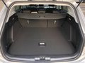 Daumennagel 11 - Ford Focus Turnier 1.0 EcoBoost Hybrid Cool & Connect