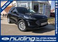 Daumennagel 1 - Ford Kuga 2.0 EcoBlue AWD Aut. Titanium X AHK/LED/ACC