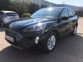 Daumennagel 2 - Ford Kuga 2.0 EcoBlue AWD Aut. Titanium X AHK/LED/ACC