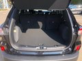 Daumennagel 8 - Ford Kuga 2.0 EcoBlue AWD Aut. Titanium X AHK/LED/ACC