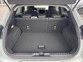 Daumennagel 7 - Ford Puma 1.0 EcoBoost Hybrid Titanium Navi/RFK/LED