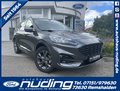 Daumennagel 1 - Ford Kuga 2.5 Duratec Plug-In Hybrid ST-Line X