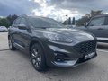 Daumennagel 4 - Ford Kuga 2.5 Duratec Plug-In Hybrid ST-Line X